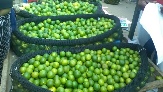 limonn-3
