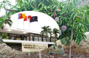 Piura: La Camco convoca mesa de diálogo por conflicto por el precio del mango