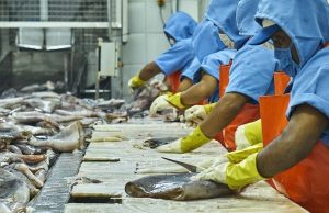 Exportaciones piuranas en alza y con valor agregado
