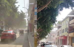 Vecino denuncia abandono y polvo en calles de Catacaos