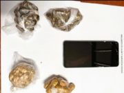 Piura: Hallan droga y celulares en operativo dentro del penal