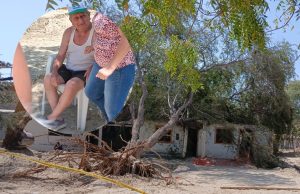 Piura: Árbol cae sobre una casa y una persona de la tercera edad resulta herida