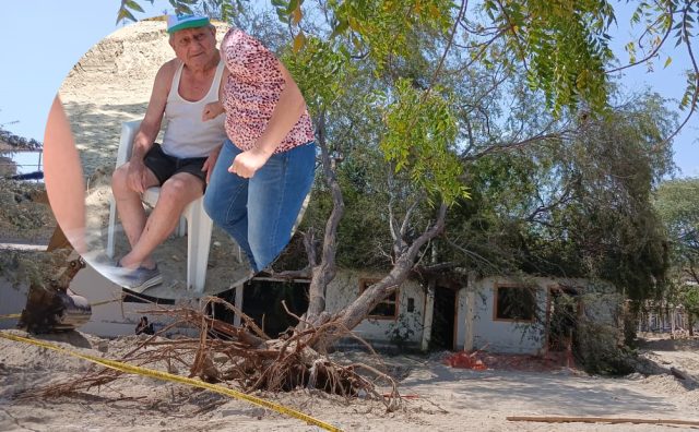 arbol cae sobre una casa