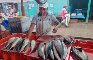 Piura: Precio de la caballa no baja de los S/20 en el mercado