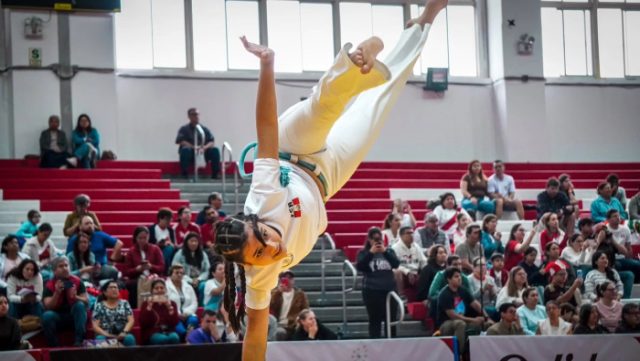 1312951-capoeira