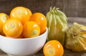 Salud: Descubre los beneficios del aguaymanto para tu salud