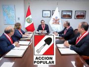 JNE rechaza pedido de AP para anular resolución que invalidó sus elecciones primarias