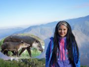 Estudiosa del tapir andino de Piura es finalista de concurso internacional