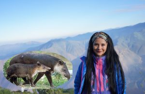 Estudiosa del tapir andino de Piura es finalista de concurso internacional