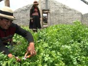 Agromin llega a Piura para impulsar diálogo entre minería y agricultura