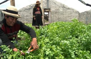 Agromin llega a Piura para impulsar diálogo entre minería y agricultura