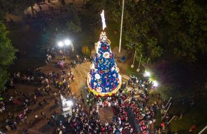 Piura: Encienden árbol navideño de más de 15 metros en la Plaza de Armas