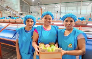 Suiza impulsa Innova Mango Piura para elevar competitividad regional