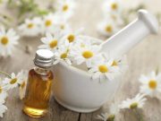 Salud: Manzanilla, la aliada natural contra molestias estomacales