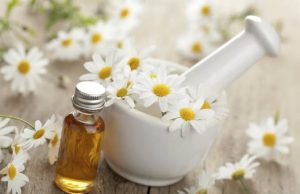Salud: Manzanilla, la aliada natural contra molestias estomacales