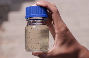 El Minsa emite una alerta epidemiológica preventiva de dengue