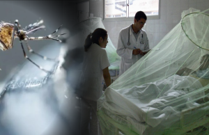 Dengue en Piura aumenta 58% y enciende alerta sanitaria regional