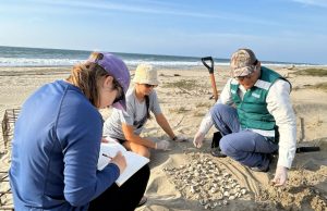 Serfor exhorta a respetar la fauna marina en playas de Piura