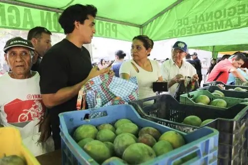 Producción de mango en Piura