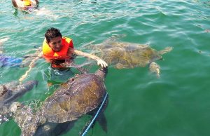 ¡Atención veraneantes! Solo ocho playas son saludables en Piura