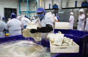 Pota lidera pesca nacional, dinamiza economía y trabajo en Piura
