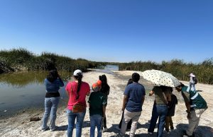 Piura impulsa conservación del humedal costero Santa Julia