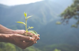 Sostenibilidad desde cero: 78% de peruanos exige reportes ambientales