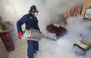 Piura: El Minsa despliega 22 fumigadores para combatir el dengue