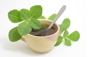 Salud: Boldo, la planta que mejora la digestión