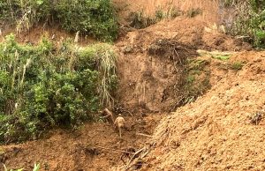 Lluvias intensas golpean Ayabaca y Huancabamba y elevan caudal de ríos