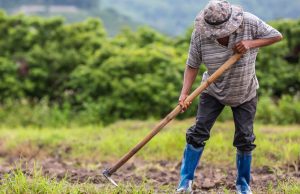 Inversión privada será clave para reactivar el agro en Piura