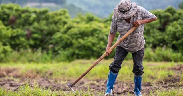 Agricultura-familiar-en-Piura