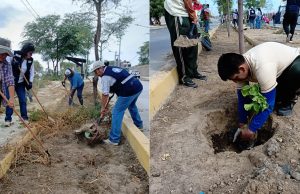 Piura: Limpian la avenida Educativa y plantan más de 300 especies ornamentales
