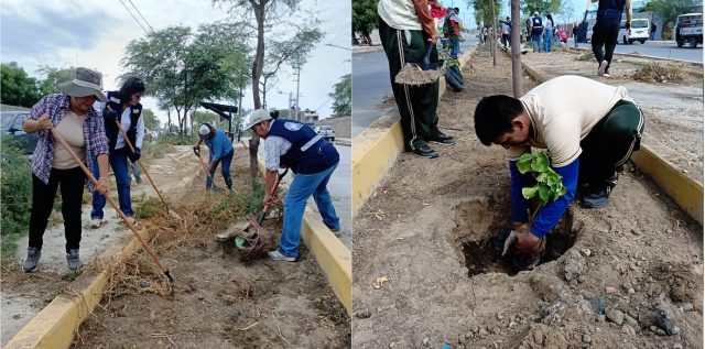 Limpian y plantan arbustos en la avenida Educativa