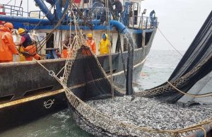 Piura: pescadores de Sechura piden suspender pesca de anchoveta