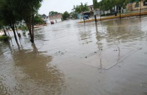 Especialista pide declarar en alerta por leptospirosis a la región Piura