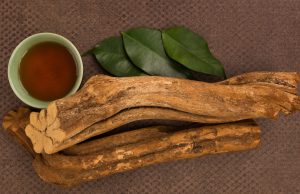 Salud: Conoce cómo consumir paico y cuáles son sus beneficios