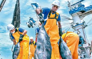 Paita: Otorgan habilitaciones sanitarias a pescadores artesanales