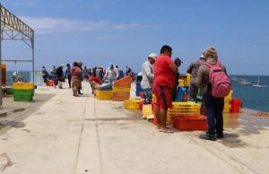 Piura: Pescadores de Cabo Blanco exigen formalización urgente