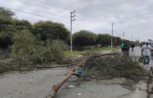 Más de 50 mil agricultores exigen planta de fertilizantes en Piura