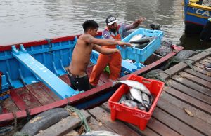Alza del petróleo y El Niño ponen en riesgo pesca en Piura
