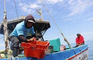 Congreso debatirá ley para formalizar pesca artesanal