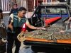 Cocodrilo rescatado en Los Órganos fue evaluado para su reubicación