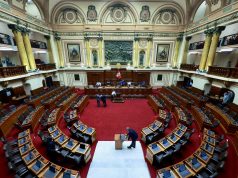 Seis partidos obtienen representación en la Cámara de Diputados