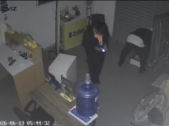 Sujetos roban celulares y accesorios valorizados en S/ 10 mil