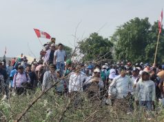 Arroceros de Piura cuestionan padrón para compra estatal