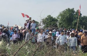 Arroceros de Piura cuestionan padrón para compra estatal