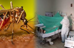 Piura enfrenta riesgo de rebrote masivo de dengue ante El Niño