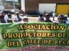 Arroceros de Piura protestan por trabas para acceder a compra estatal