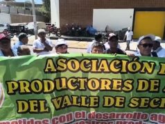 Arroceros de Piura protestan por trabas para acceder a compra estatal